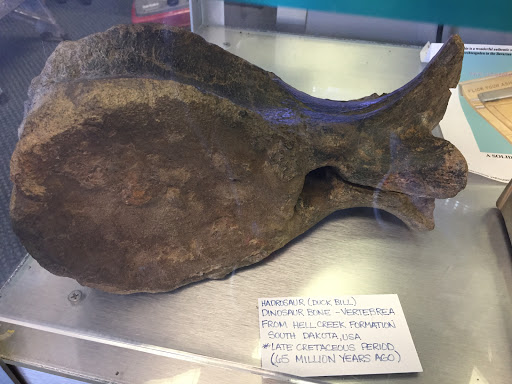 Pawn Shop «Pawn Star», reviews and photos, 7294 FL-54, New Port Richey, FL 34653, USA