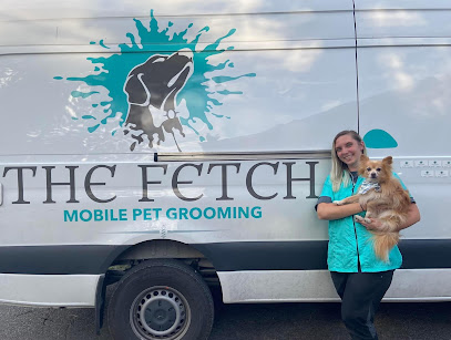 The Fetch Mobile Grooming Ottawa