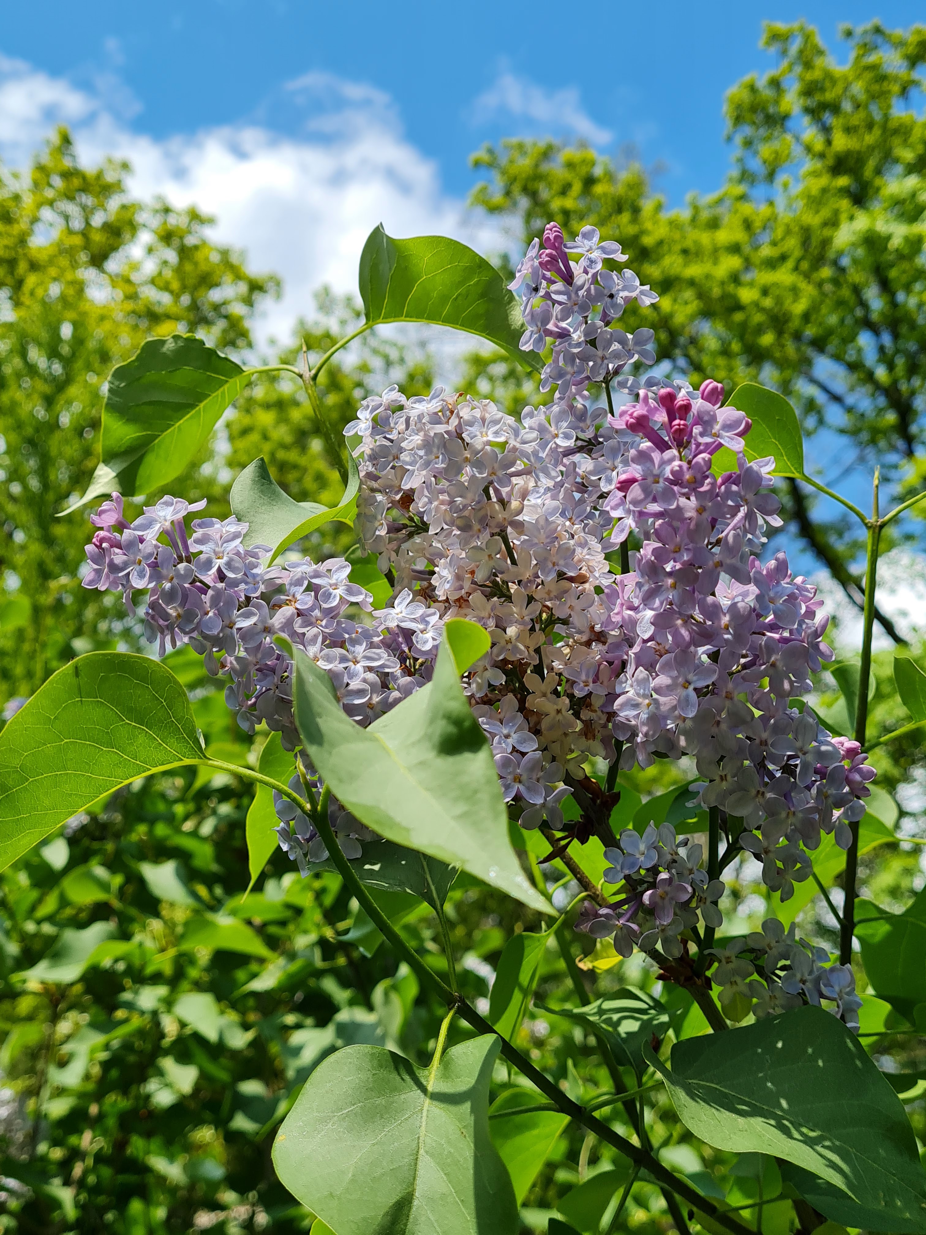 Photo n° 15 de l'avis de Murielle.a fait le 02/05/2021 à 20:08