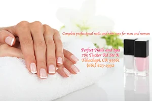 Perfect Nails and Spa image