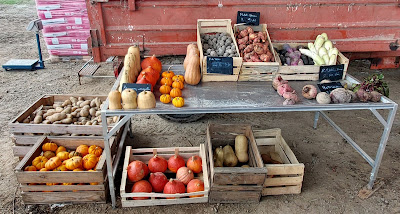 La Fleur des Vergers et des Jardins à Lange