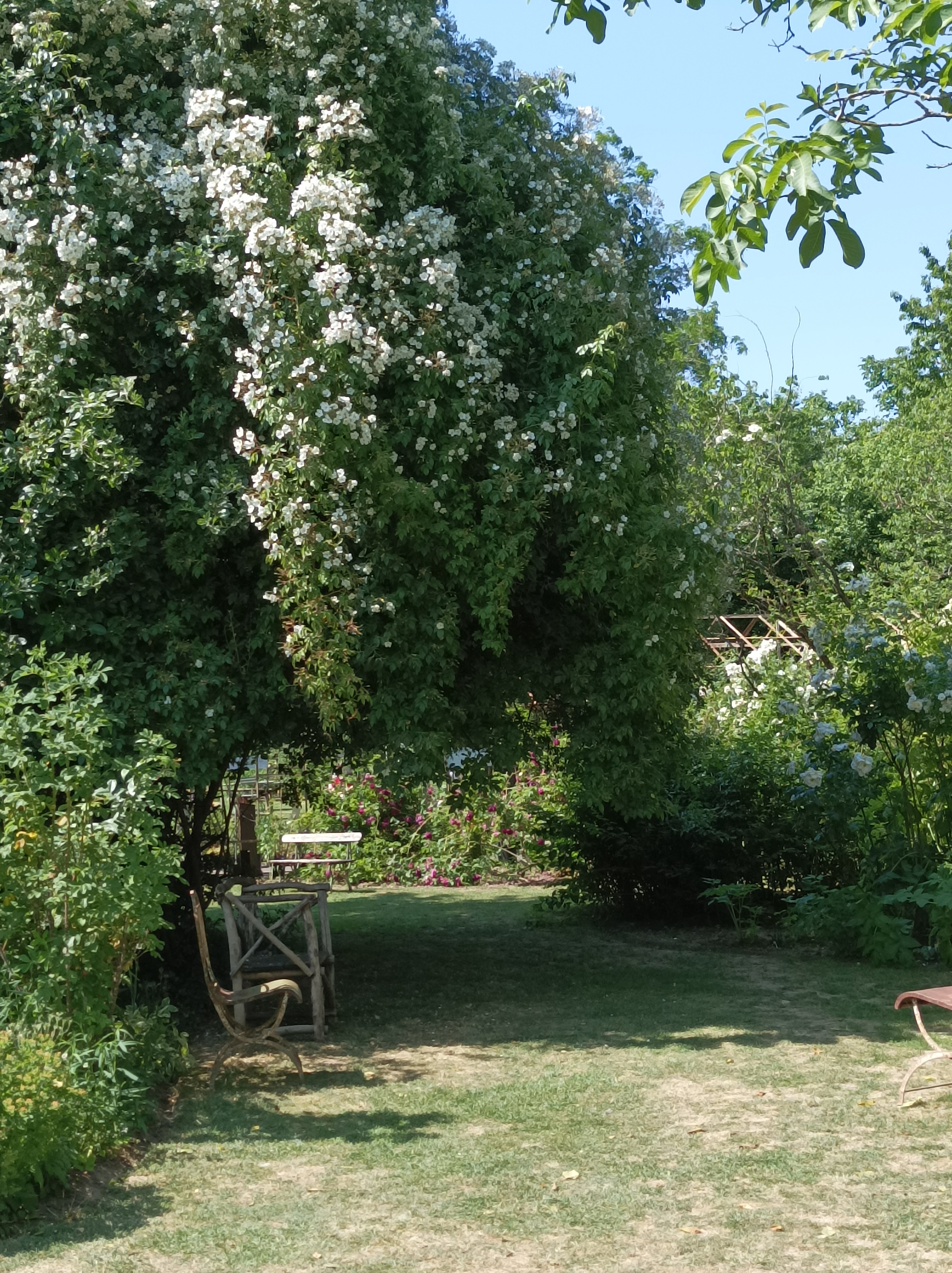Photo n° 4 de l'avis de Mélanie.i fait le 10/06/2023 à 13:15