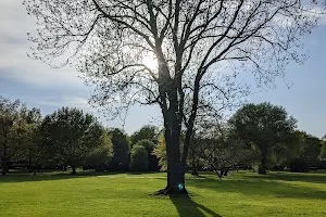 Hundeauslaufzone image