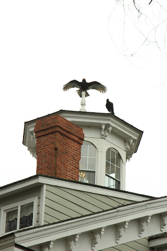 Hotel «Historic Kent Manor Inn», reviews and photos, 500 Kent Manor Dr, Stevensville, MD 21666, USA