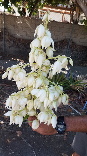 Golf Course «River View Golf Course», reviews and photos, 1800 W Santa Clara Ave, Santa Ana, CA 92706, USA