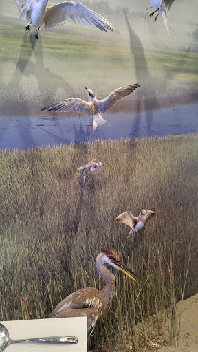 Nature Preserve «Peter and Mary Muth Interpretive Center», reviews and photos, 2301 University Dr, Newport Beach, CA 92660, USA