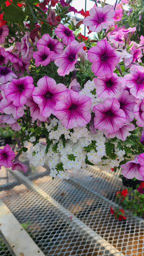 Produce Market «Miller Farms», reviews and photos, 10140 Piscataway Rd, Clinton, MD 20735, USA