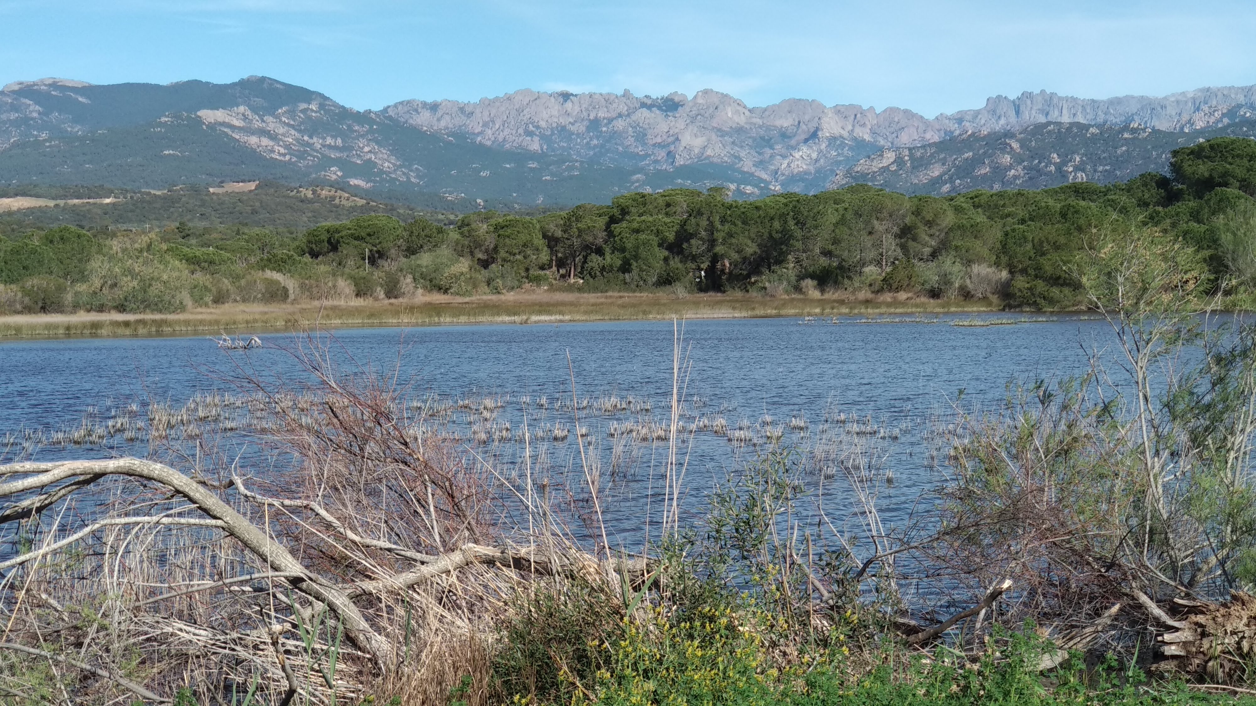 Photo n° 13 de l'avis de Nadia.e fait le 27/04/2019 à 20:39