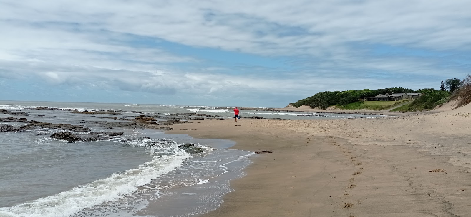 Foto av Seagulls beach med long bay