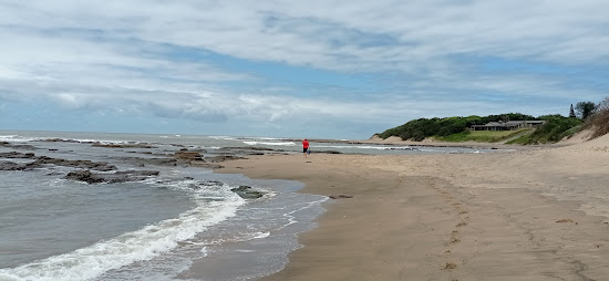 Seagulls beach