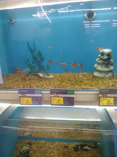 Pet Supply Store «PetSmart», reviews and photos, 21 Trader Ln, Williston, VT 05495, USA