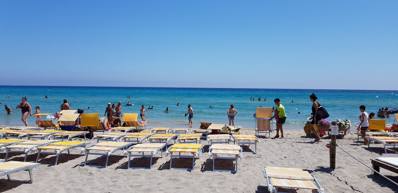 Foto von Spiaggia Laghi Alimini befindet sich in natürlicher umgebung