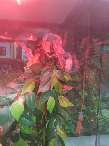 Animal Feed Store «Franklin Hardware & Pet Center», reviews and photos, 1975 Philadelphia Ave, Chambersburg, PA 17201, USA