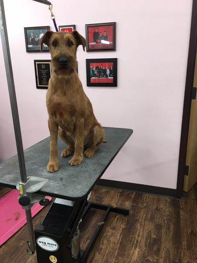 Pet Groomer «Woof Gang Bakery & Grooming, The Villages», reviews and photos, 3682 Meggison Rd, The Villages, FL 32163, USA