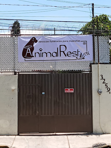 Animal Rest Coyoacán