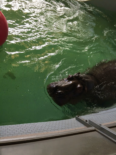 Park «Broadmoor Valley Park», reviews and photos, 3750 Broadmoor Valley Rd, Colorado Springs, CO 80906, USA