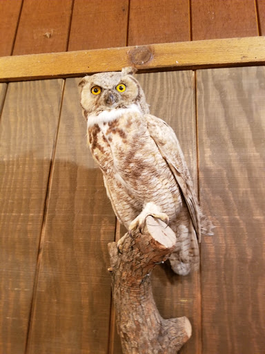 Museum «Pilcher Park Nature Center», reviews and photos, 2501 Highland Park Dr, Joliet, IL 60432, USA