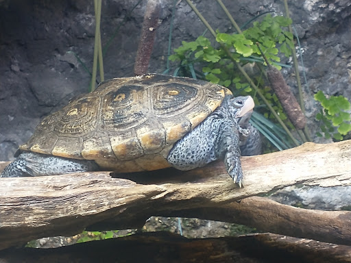 Shopping Mall «Newport on the Levee», reviews and photos, 1 Levee Way, Newport, KY 41071, USA