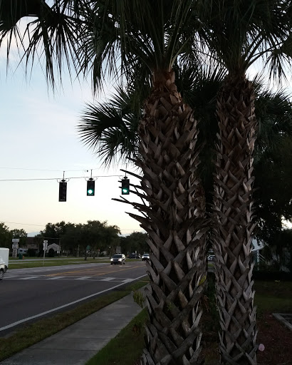 Discount Store «Dollar General», reviews and photos, 607 N Central Ave, Umatilla, FL 32784, USA