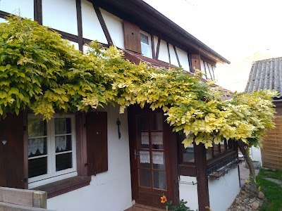 Gite Alsace Kochersberg à Kienheim