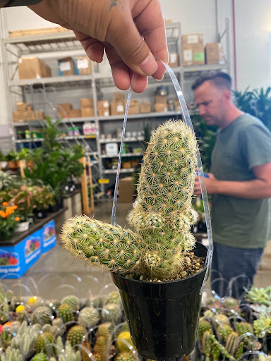 Shopping Mall «Los Altos Gateway», reviews and photos, 2840 N Bellflower Blvd, Long Beach, CA 90815, USA