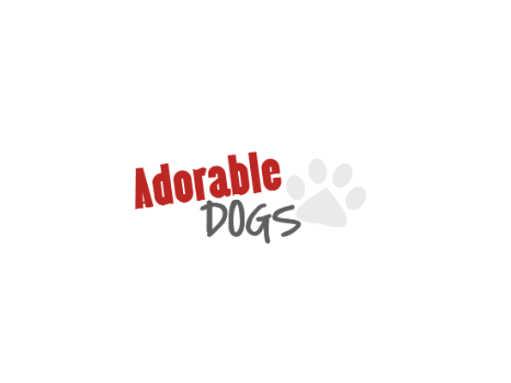 Comments and reviews of Adorable Dogs