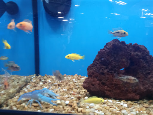 Pet Supply Store «Petco Animal Supplies», reviews and photos, 1500 N Town E Blvd, Mesquite, TX 75150, USA