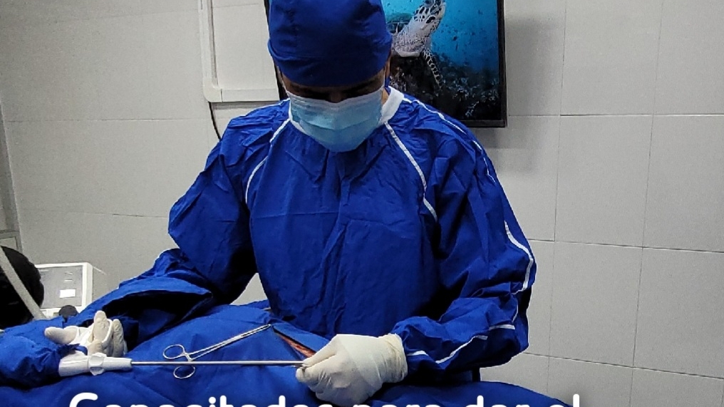 GB Hospital Veterinario