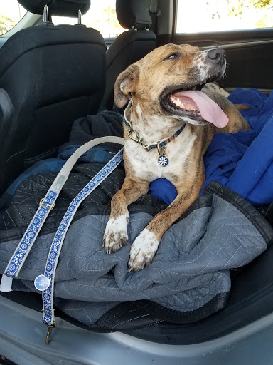 Pet Supply Store «PetSmart», reviews and photos, 12483 Limonite Ave, Mira Loma, CA 91752, USA