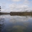 Neals Landing Bridge