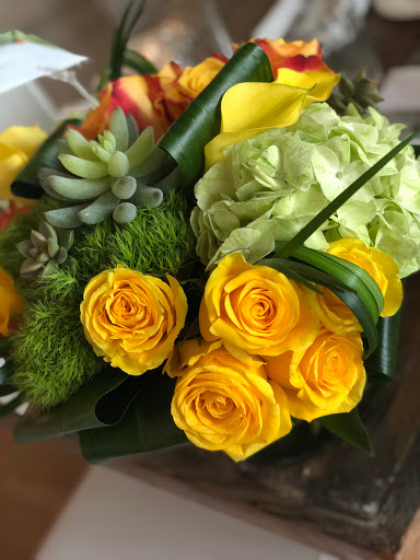 Italian Restaurant «Molto Trattoria», reviews and photos, 368 5th Ave S, Naples, FL 34102, USA