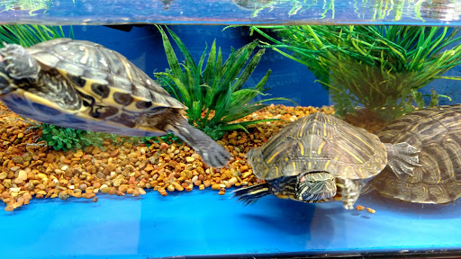 Pet Supply Store «PetSmart», reviews and photos, 475 Bank St, Waterbury, CT 06708, USA