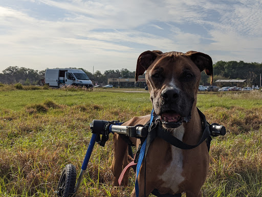 Coffee Shop «Starbucks», reviews and photos, 1920 Bloomingdale Ave, Valrico, FL 33596, USA