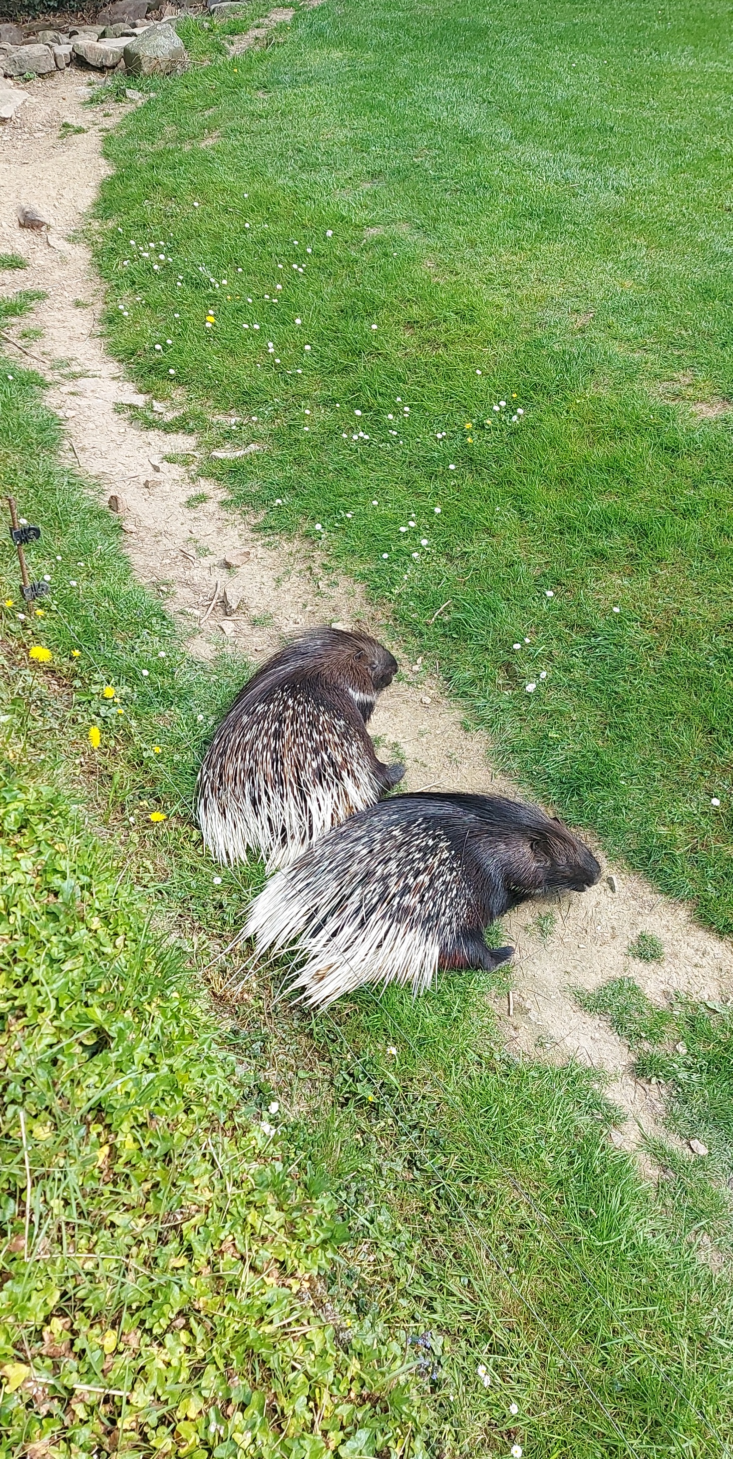 Photo n° 25 de l'avis de Mél.i fait le 21/04/2022 à 16:37