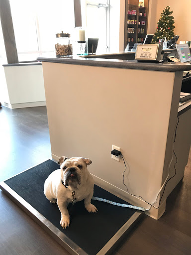 Healthy Paws Animal Hospital image