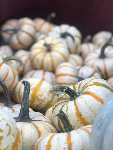 Hardware Store «Alamo Hardware», reviews and photos, 3211 Danville Blvd, Alamo, CA 94507, USA