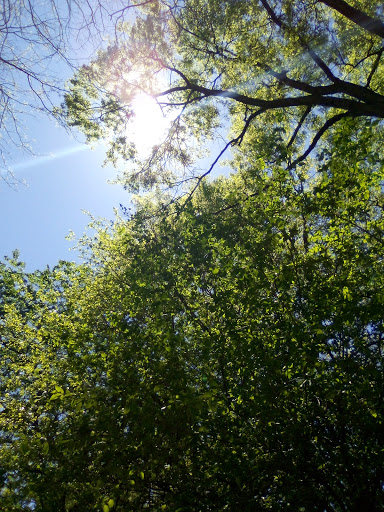 Park «Van Cortlandt Park», reviews and photos, Broadway and Vancortlandt Park S, Bronx, NY 10462, USA