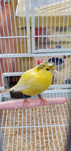 Pet Supply Store «Pet Supermarket», reviews and photos, 2061 Aloma Ave, Winter Park, FL 32792, USA