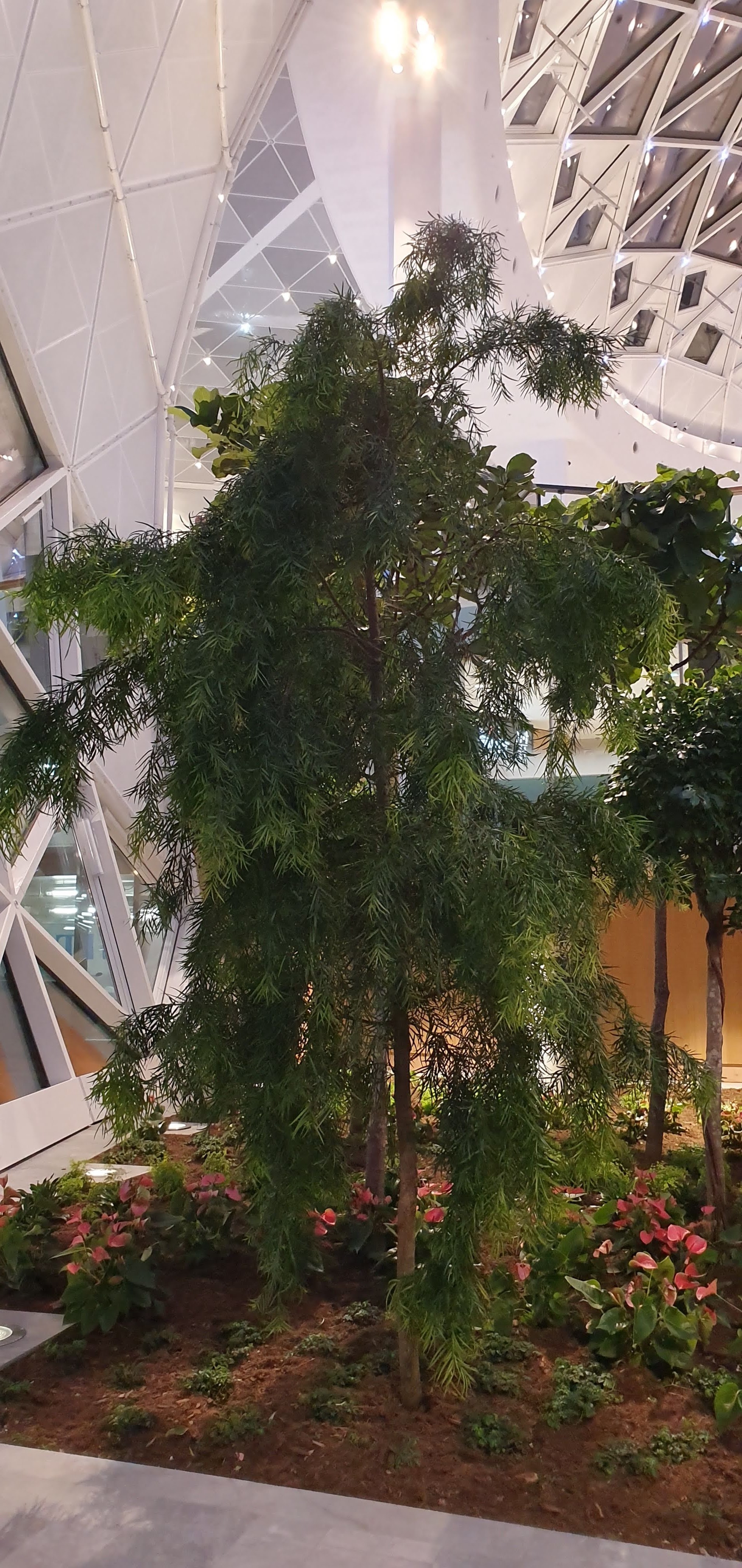 Photo n° 3 de l'avis de Fred.O fait le 12/06/2018 à 08:40