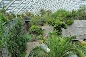 National Botanic Garden Conference Centre image