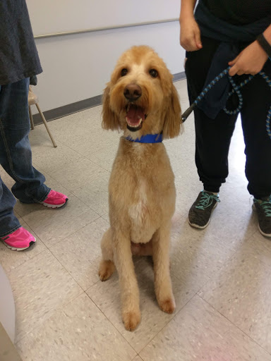 Pet Supply Store «Petco Animal Supplies», reviews and photos, 4012 W 27th Ave, Kennewick, WA 99337, USA