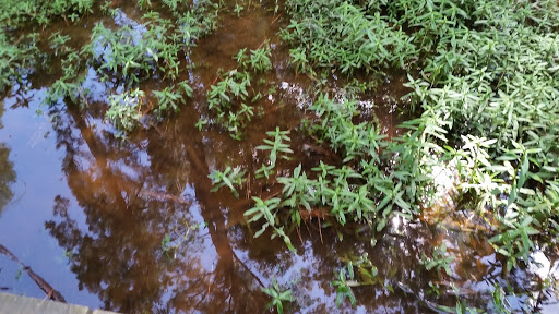 Park «Telge Park», reviews and photos, 12400 Pleasant Grove Rd, Cypress, TX 77429, USA