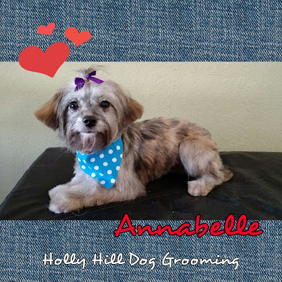 Holly Hill Dog Grooming.