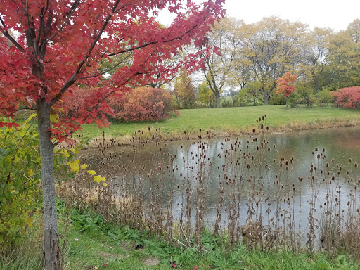 Park «Griffin Park», reviews and photos, Griffin Park E, Canton, MI 48187, USA