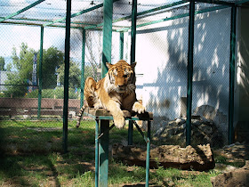 Зоологическа градина Пазарджик