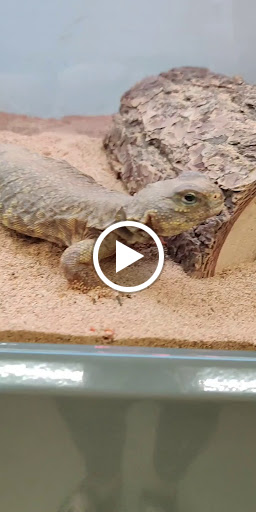 Pet Supply Store «Pet Supplies Plus», reviews and photos, 6199 GA-92 Suite 160, Acworth, GA 30102, USA