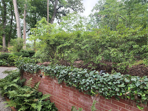 Country Club «Greensboro Country Club», reviews and photos, 410 Sunset Dr, Greensboro, NC 27408, USA