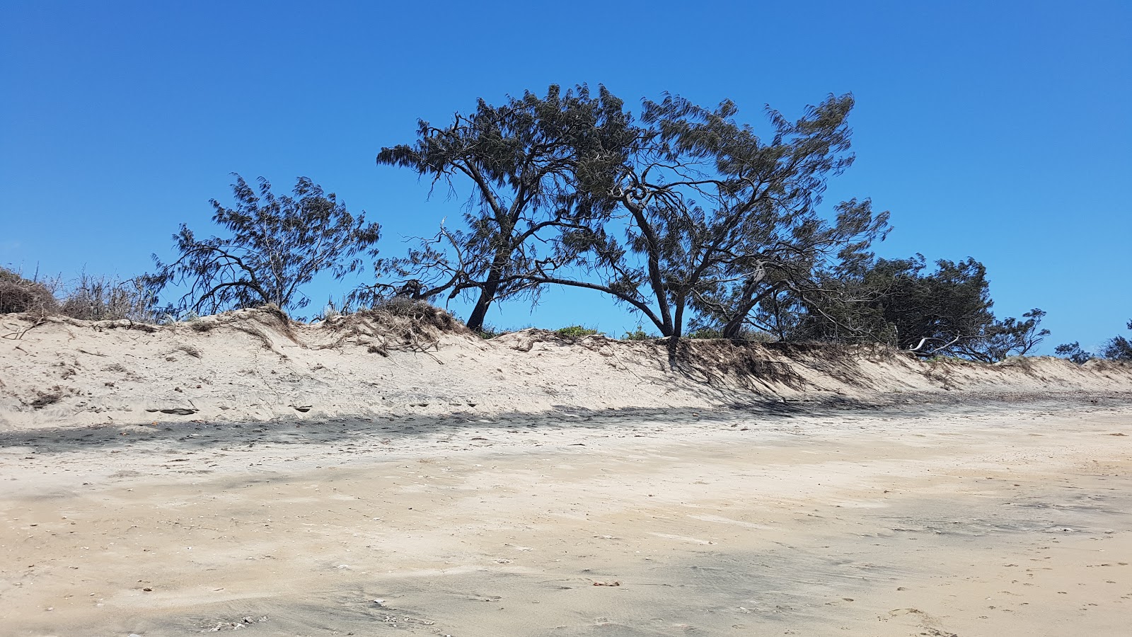 Photo de Kings Beach situé dans une zone naturelle