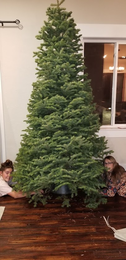 AJ's Christmas Trees