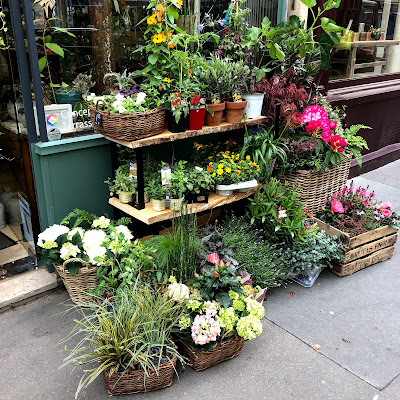 B.GREEN Artisan Terrariums - Paysagiste d'intérieur & d'extérieur à Paris